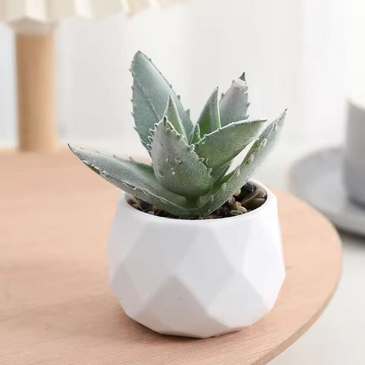 Simulated Diamond Flocked Succulent Bonsai Green Plant Potted Plant Home Decoration Desktop Ornament Mini Bonsai